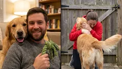 Umí psi poděkovat a jak to dělají